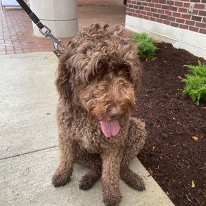 Meet your Posher, Sara